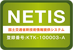 NETIS